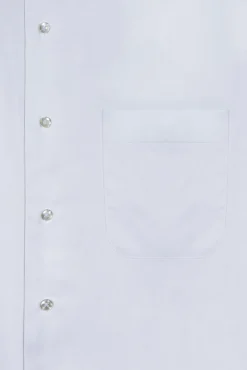 New Regular Fit Formal Oxford Shirt in 100% Cotton Camisas Clássicas|Camisas Clássicas