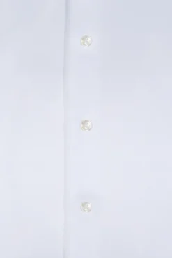 New Slim Fit Formal Oxford Shirt in 100% Cotton Camisas Clássicas|Camisas Clássicas